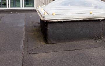 disadvantages of Ardendrain flat roofs