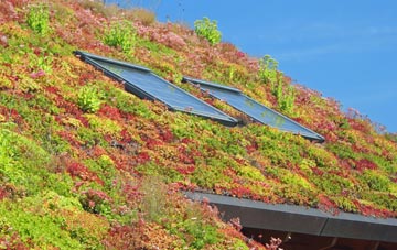 Ardendrain living roof systems