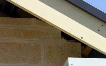 soffit repair Ardendrain