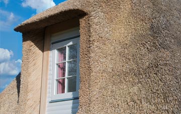 Ardendrain thatch roof disadvantages